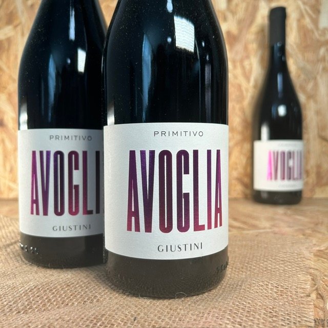 Avoglia Red - Primitivo
