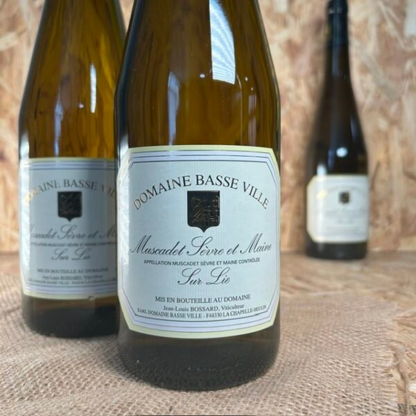 White - Muscadet